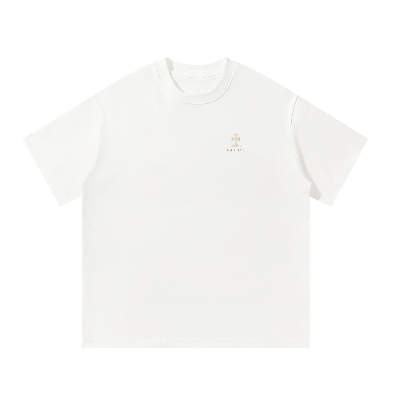 Philippians 4:13 Essential T-Shirt