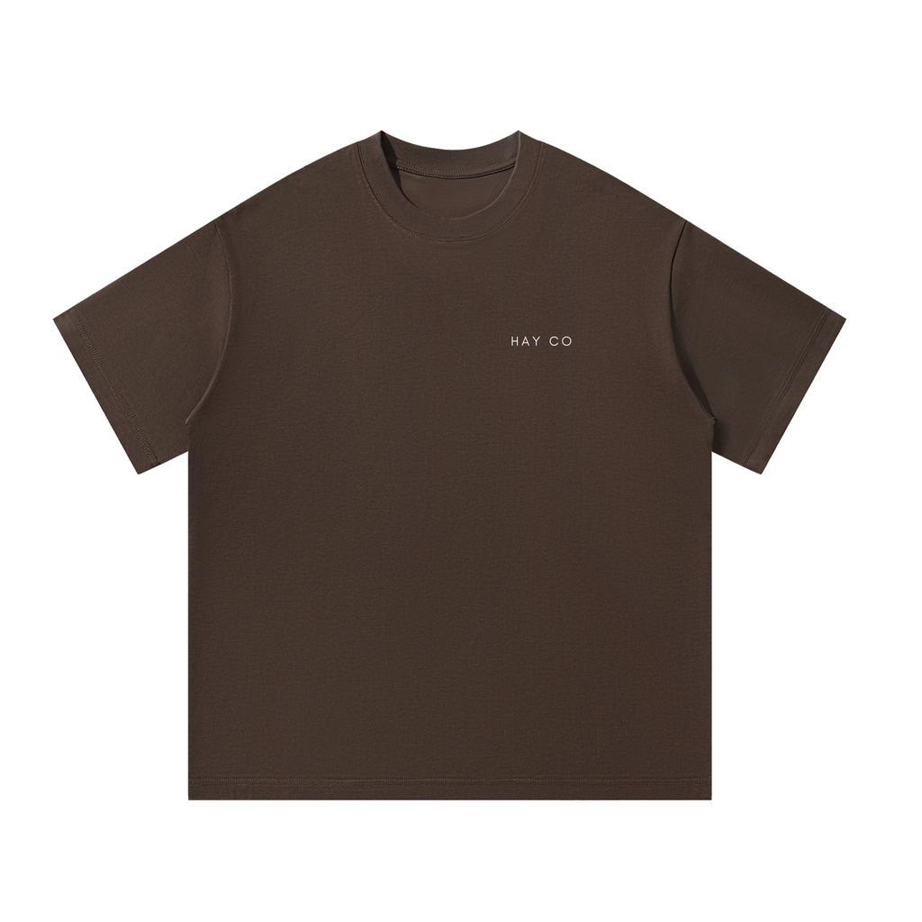 HayCO MIDDLE EASTERN Essential Armenian T-Shirt | Armenian Clothing