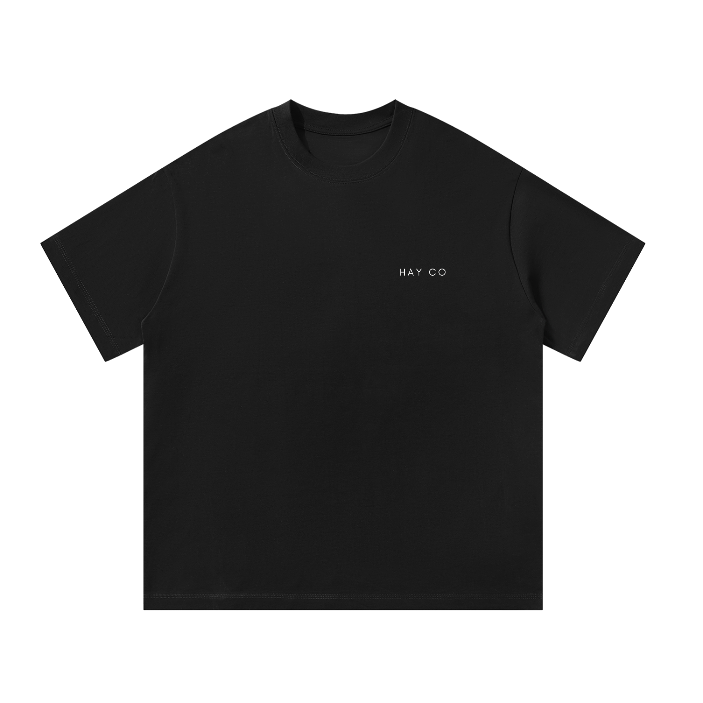HayCO MIDDLE EASTERN Essential Armenian T-Shirt | Armenian Clothing