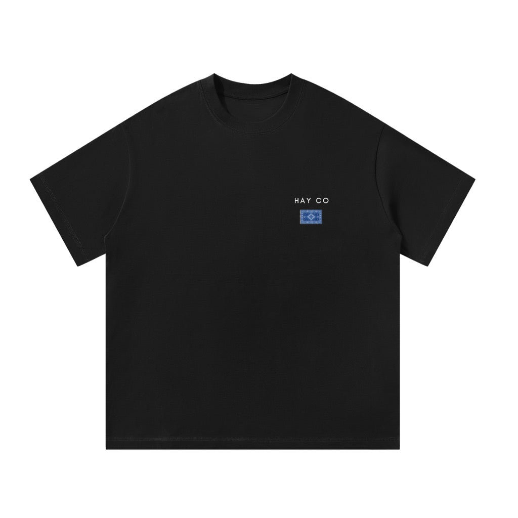 HayCO Blue Kavkaz Style Carpet Essential Armenian T-Shirt | Armenian Clothing