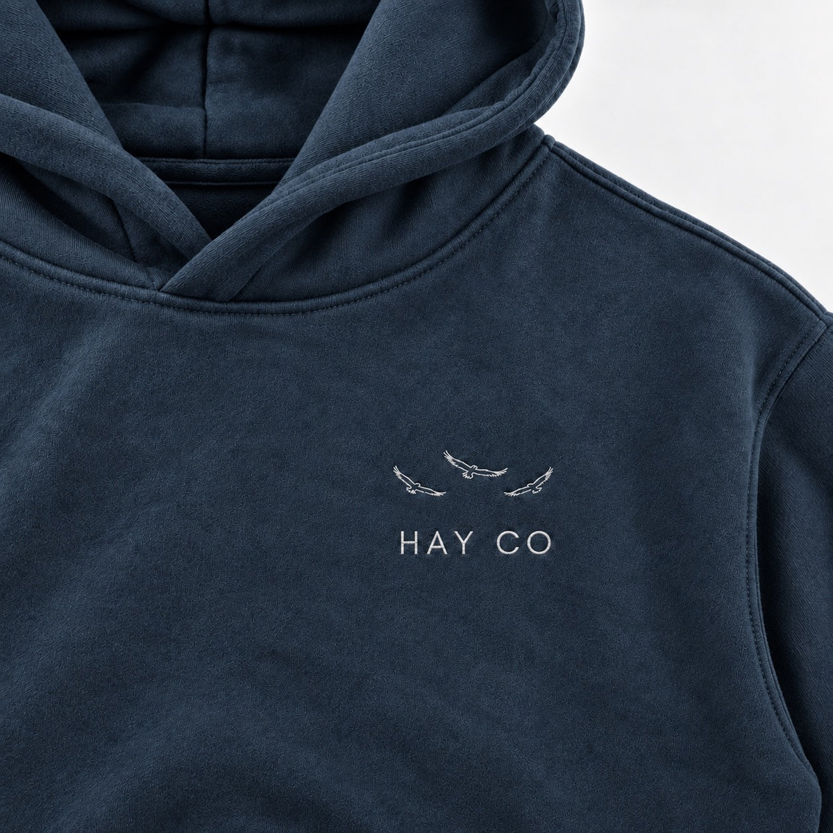 HayCO THE HOMELAND Essential Oversized Armenian Hoodie | Armenian Clothing
