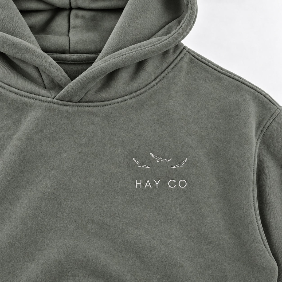 HayCO THE HOMELAND Essential Oversized Armenian Hoodie | Armenian Clothing